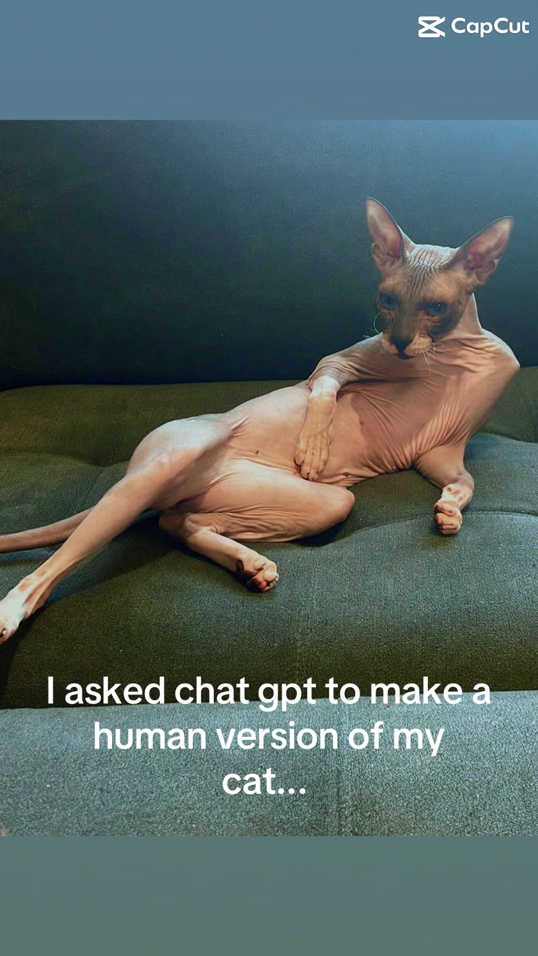 @Sphynxcat