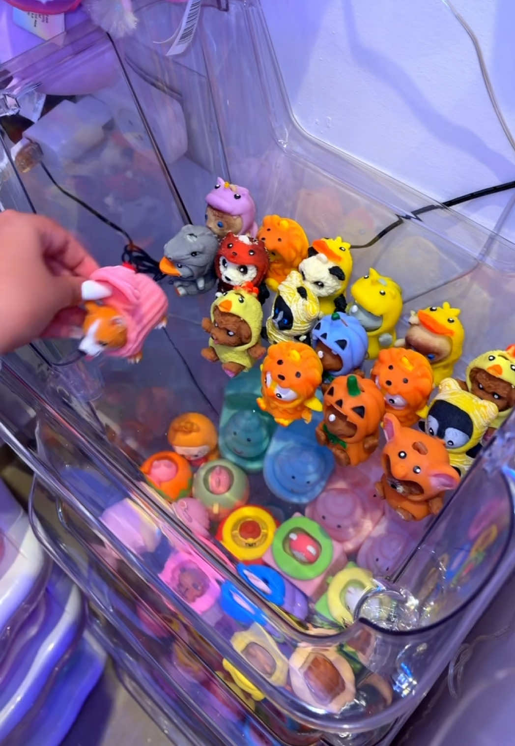 @๐งธPinky fidget๐ืืืืช ืืกืงืืืืฉืื