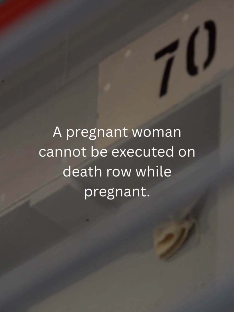 @Pro Life Payments