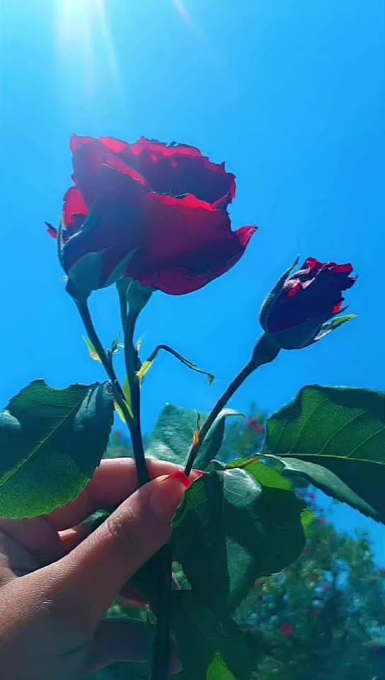 @Rufanə🪡 Nur