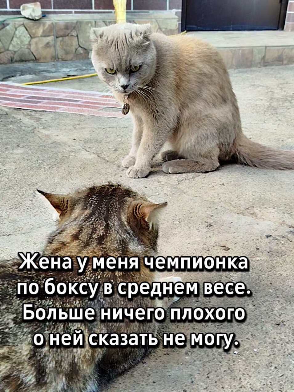 @🐈Масик&Андрей🥰