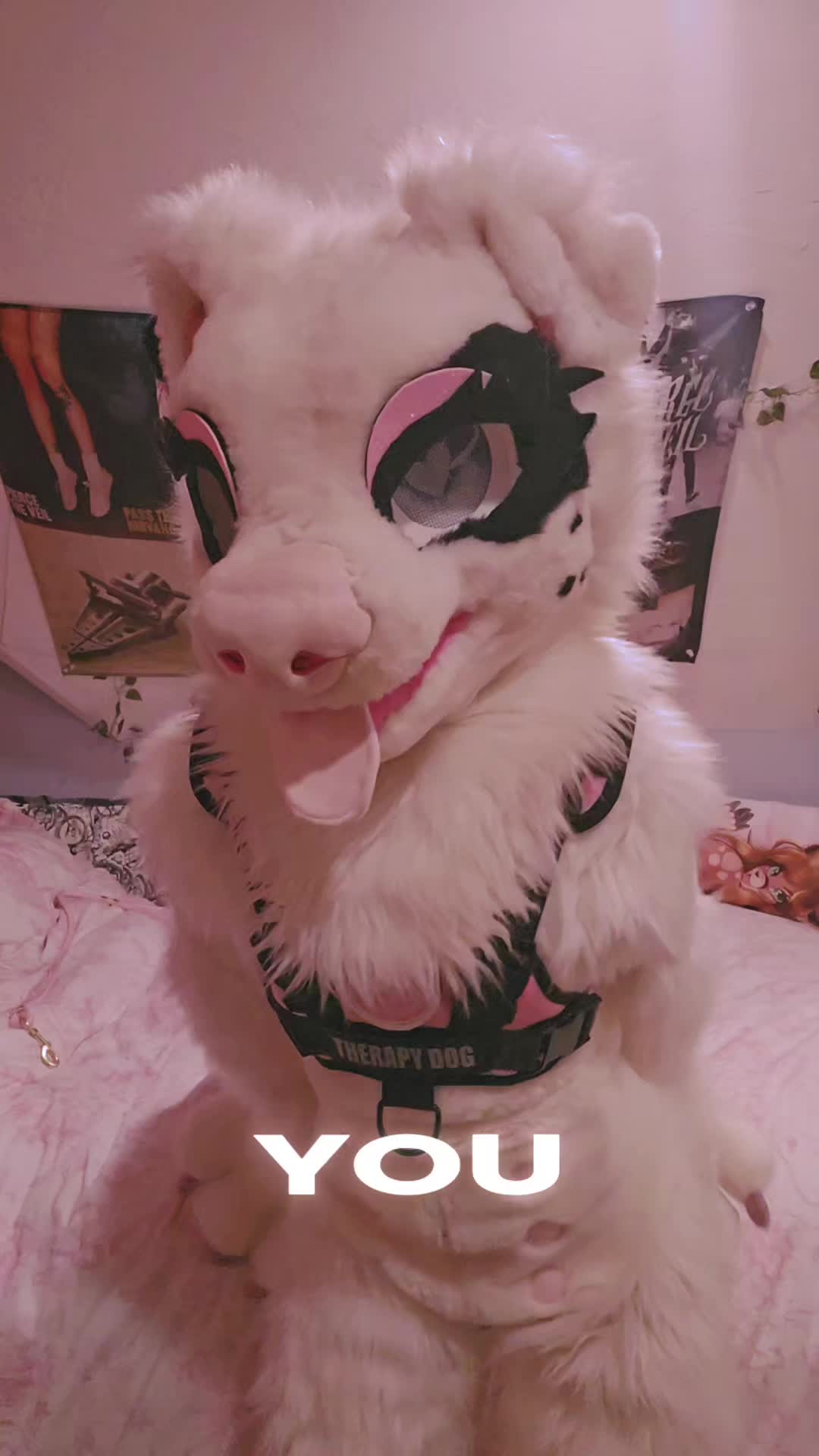 @fidget_batty🦇