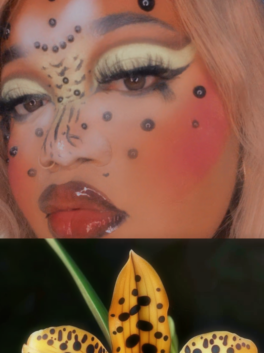 @Kiara💗