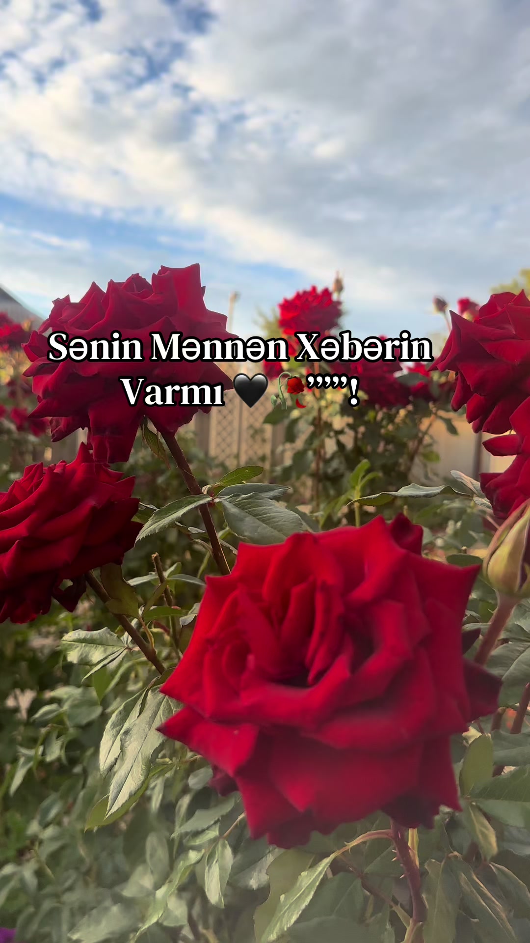 @Mənalı❤️Xanım
