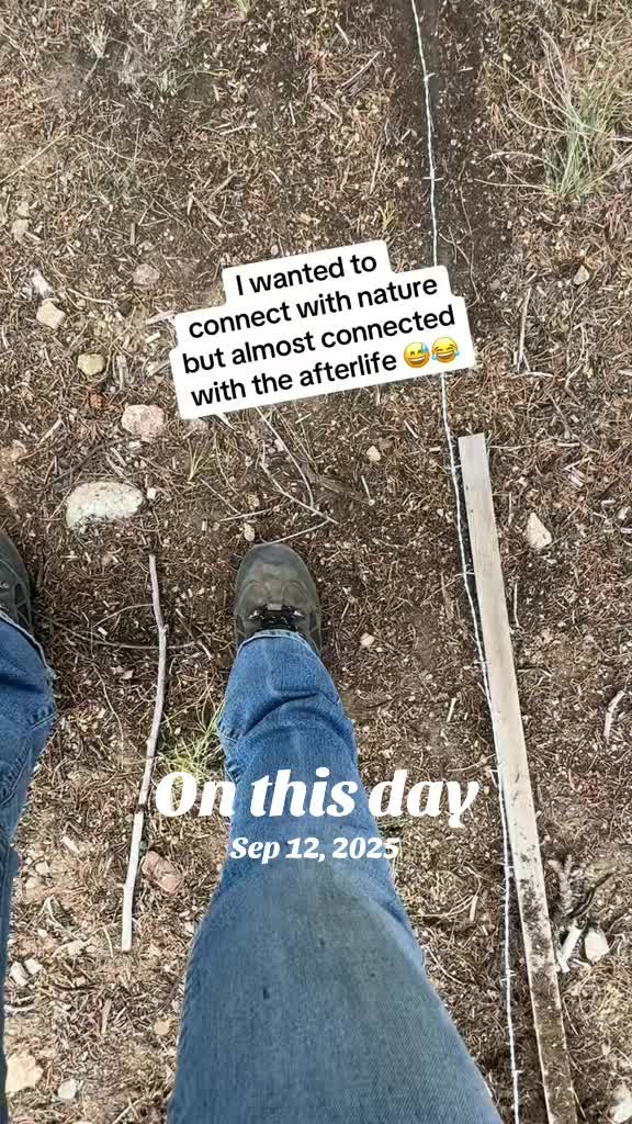 @❌StephanieRWebb’s Homestead
