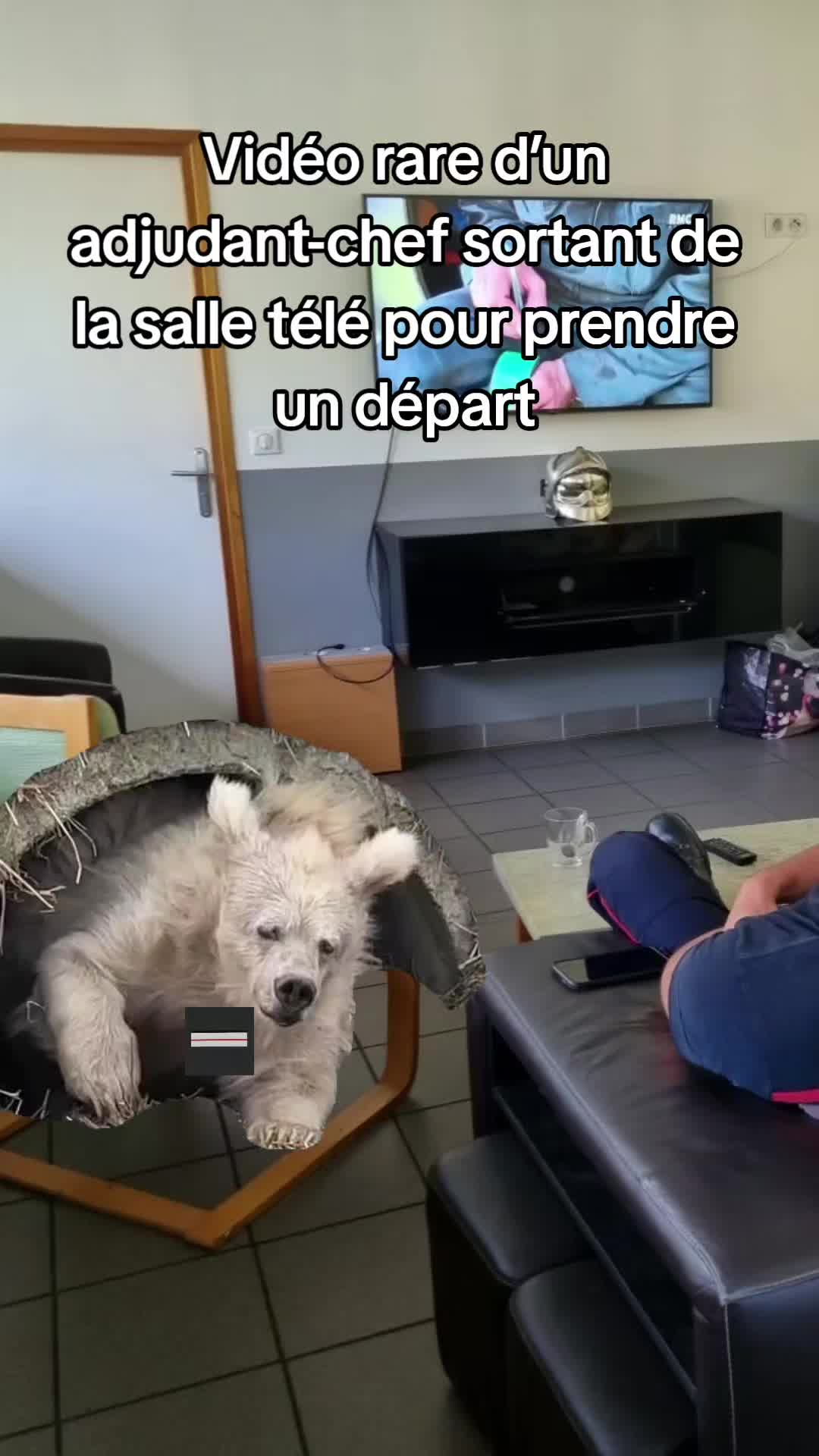 @JusDeCremeDePomplard