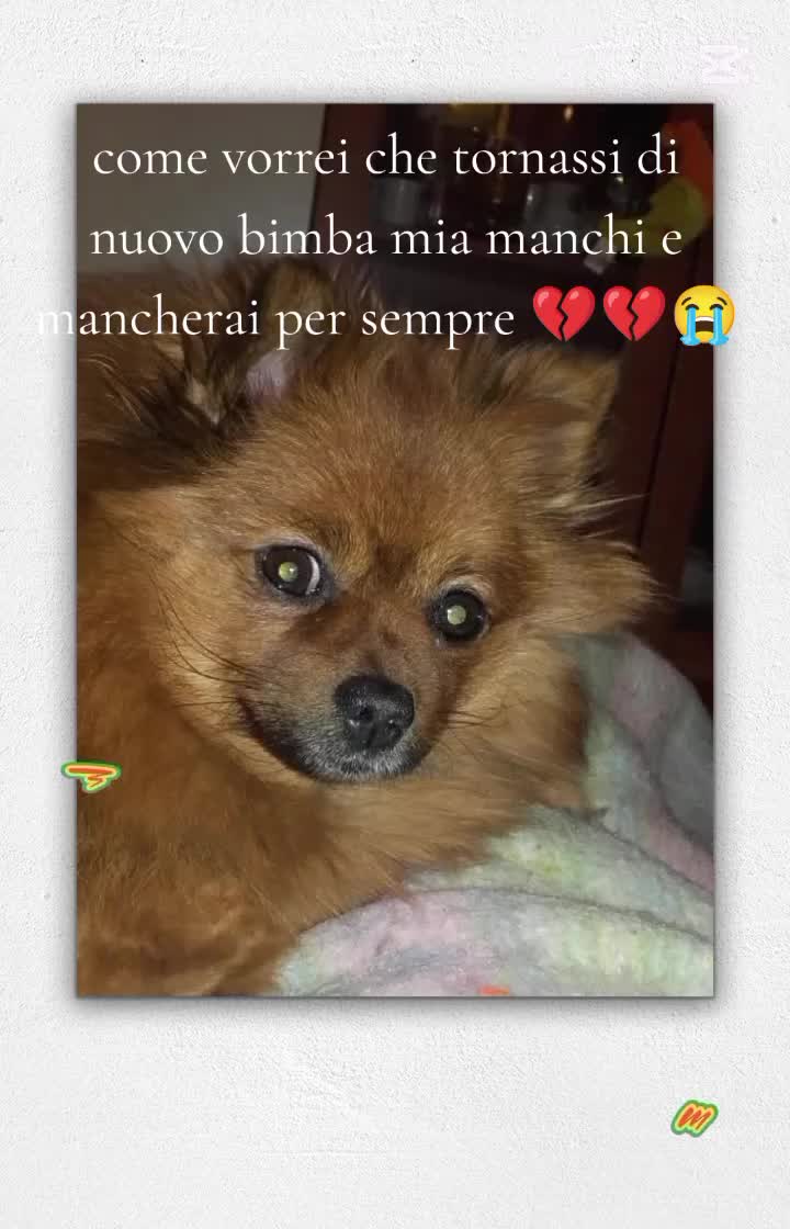 @Carmela Aiello