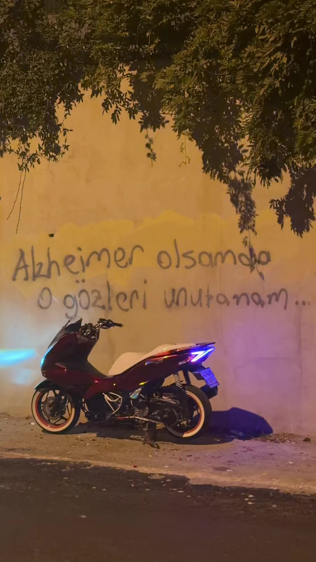 @𝓣𝓪𝓱𝓪 𝓚𝓸𝓼𝓮