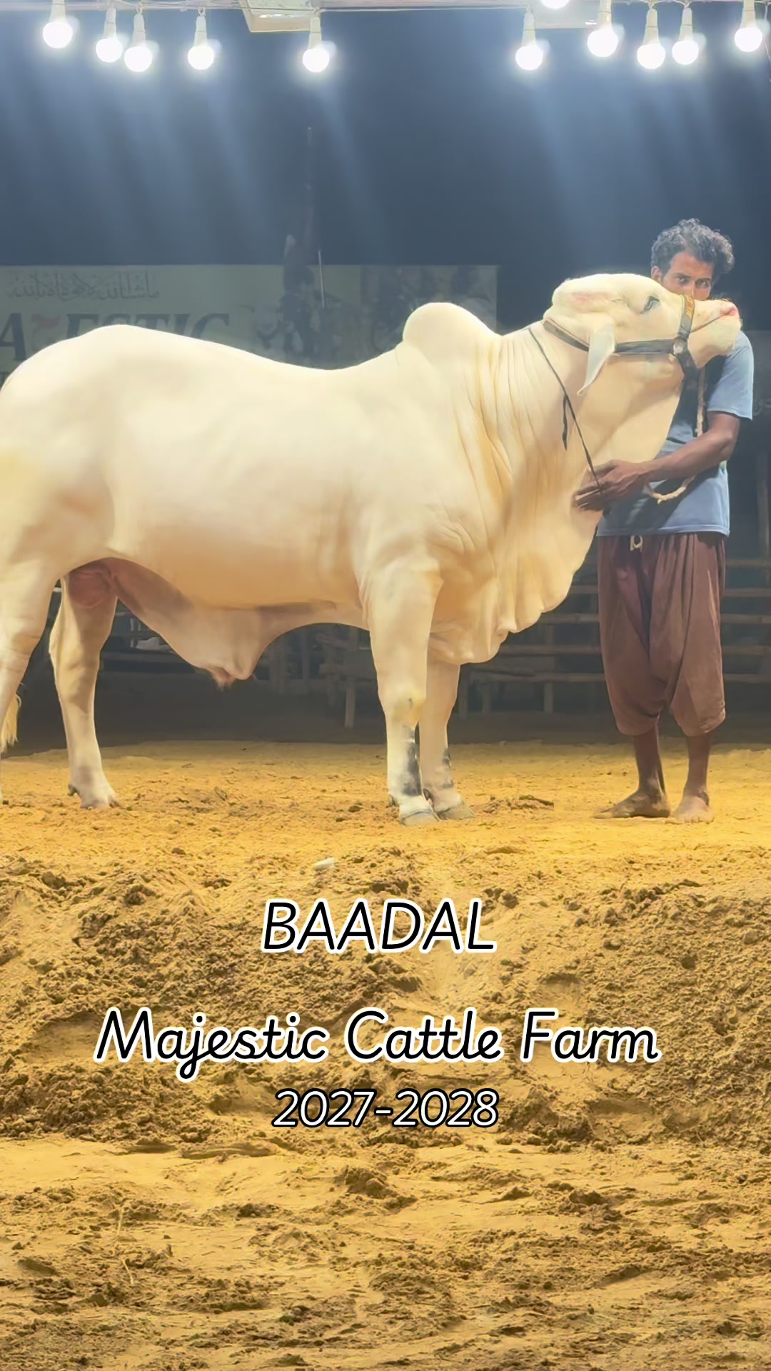 @MAJESTIC CATTLE & GOAT FARM