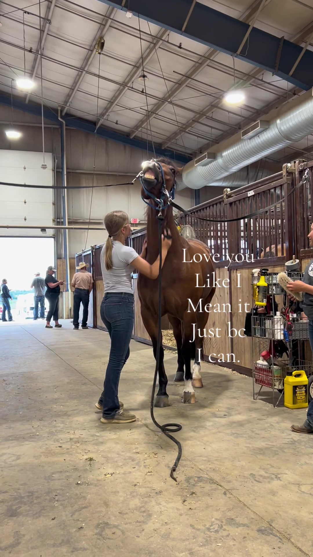 @bryndlekaye_horses