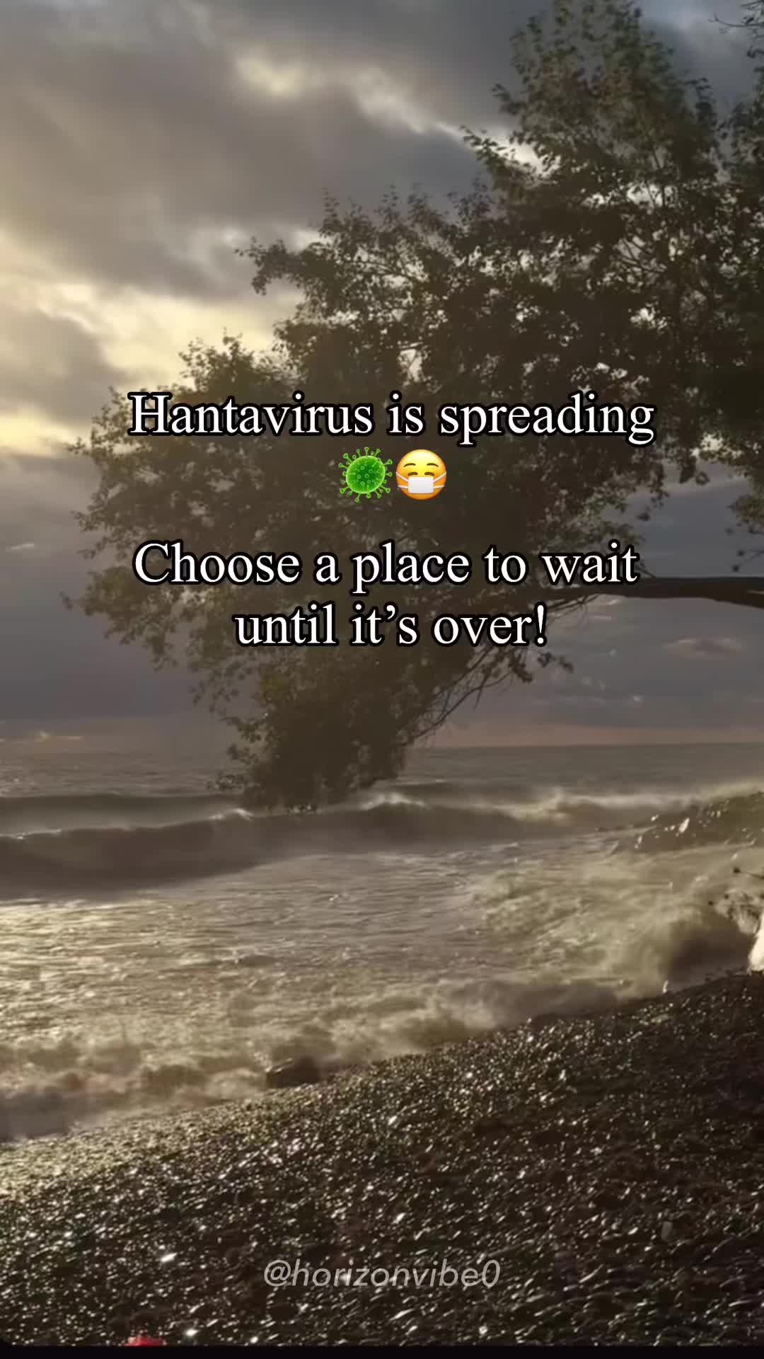 @horizonvibe0