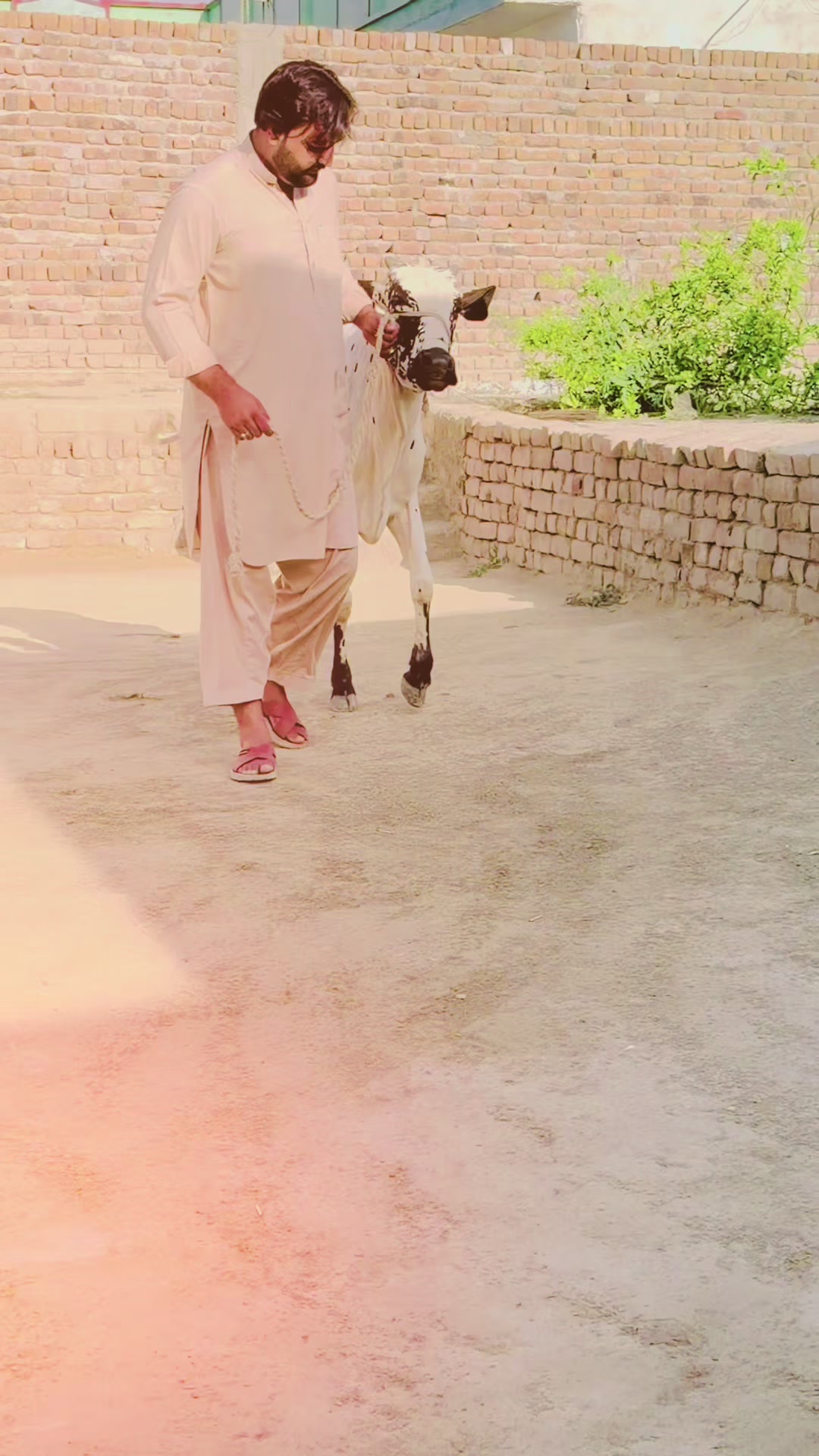 @khizar ali