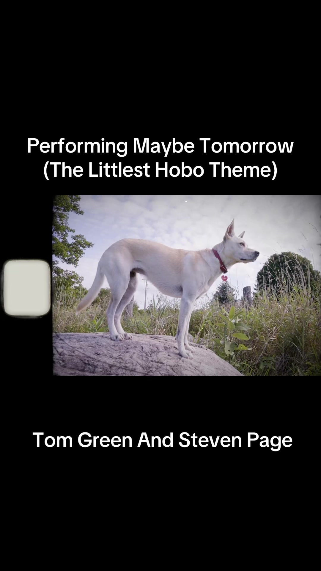 @Tom Green