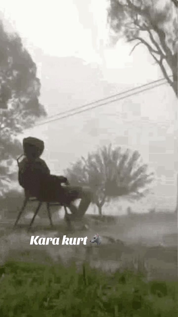 @Kara kurt 🐺