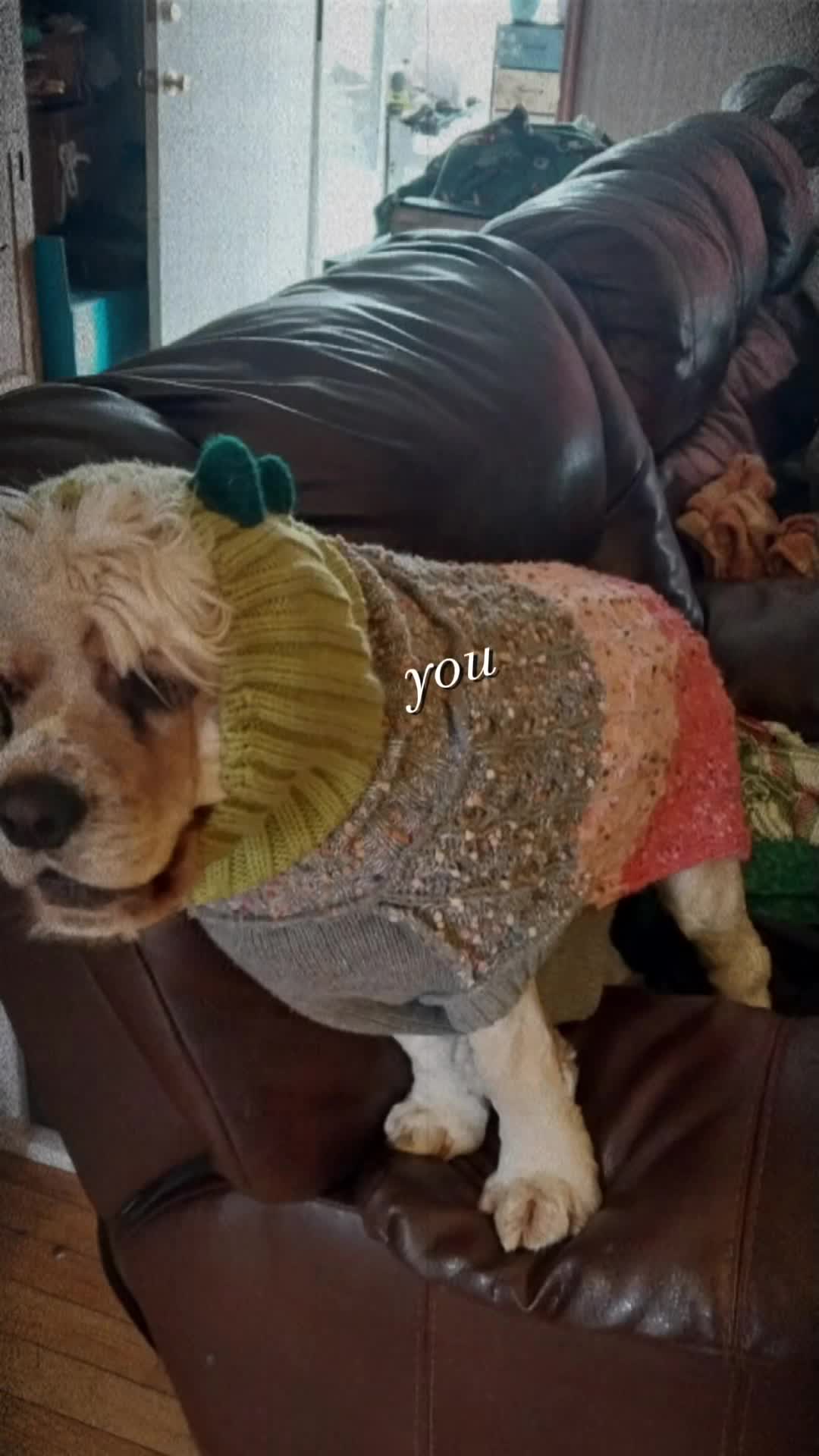 @Laura