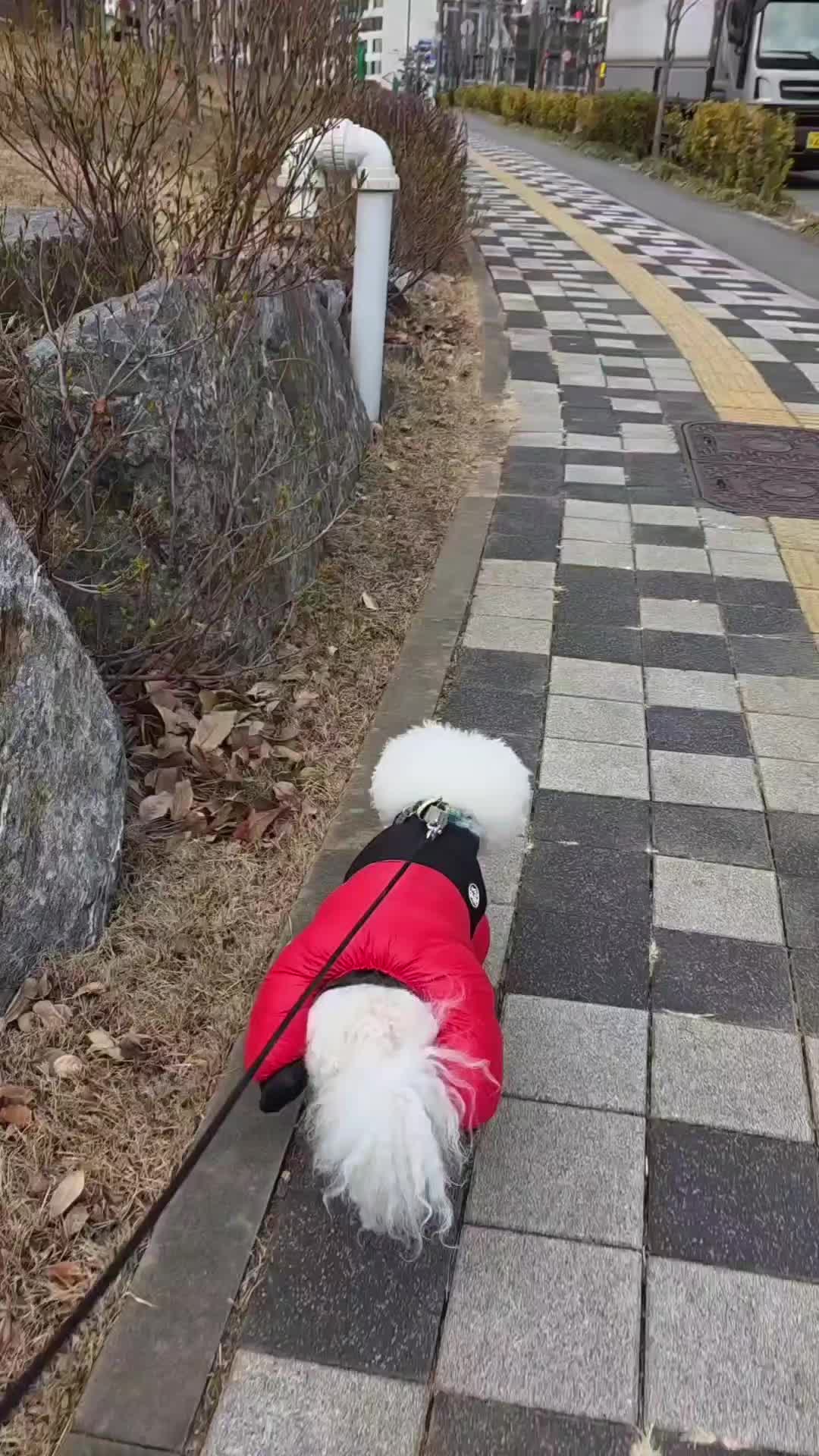 @백서현218
