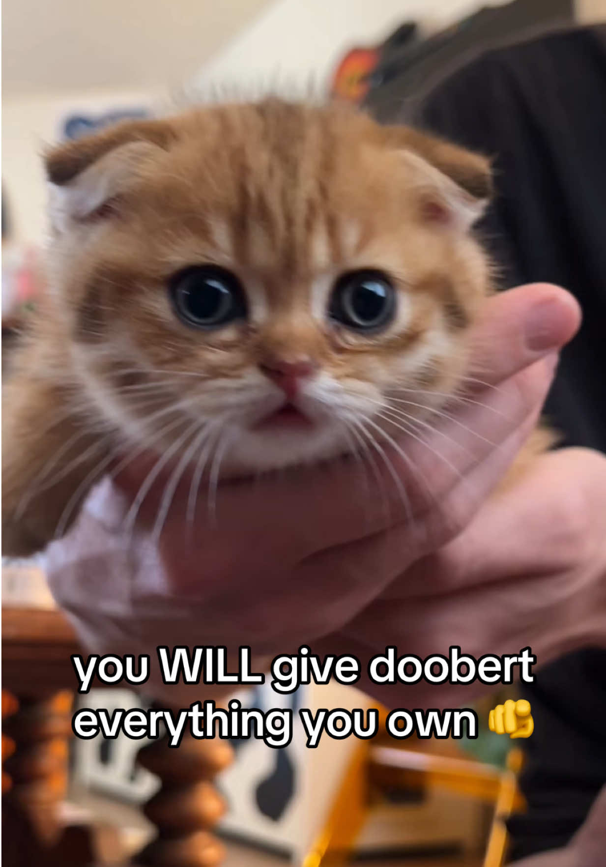 @honey butter chicken biscuit