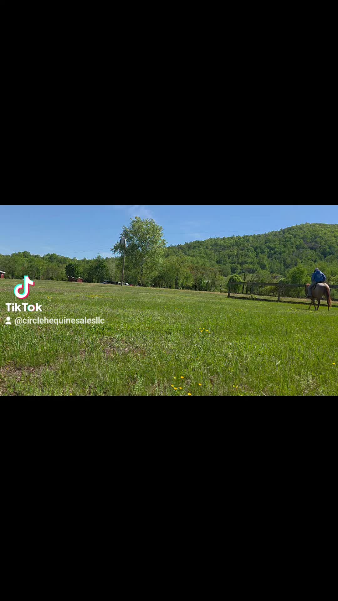 @CircleHEquineSalesLLC