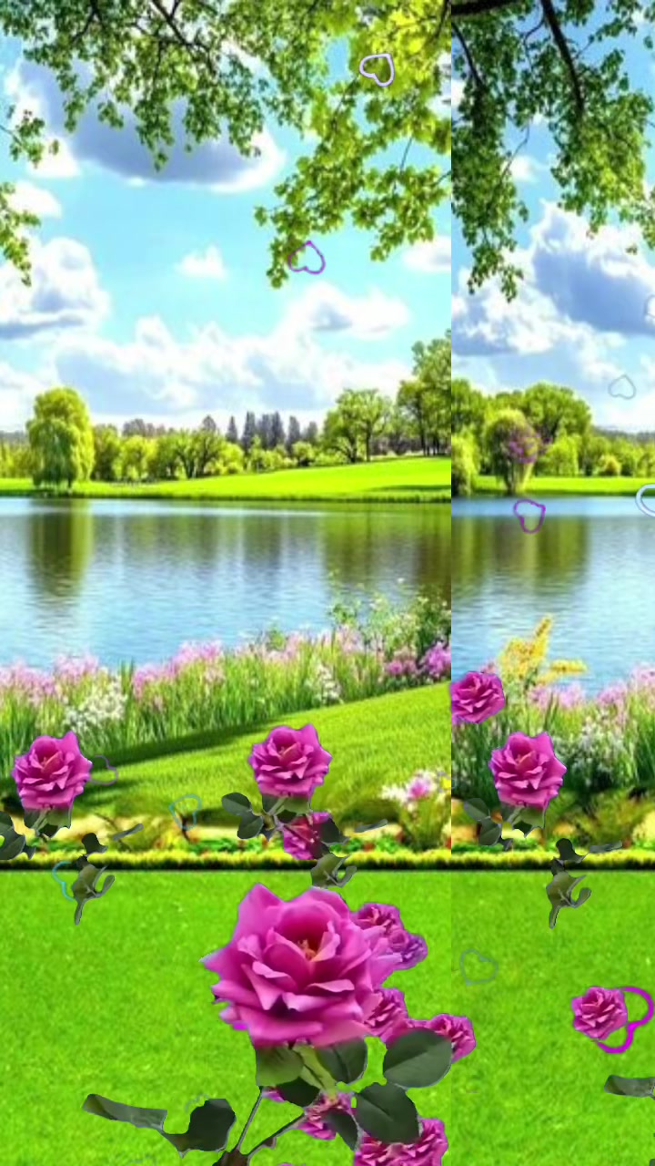 @balbasnet54