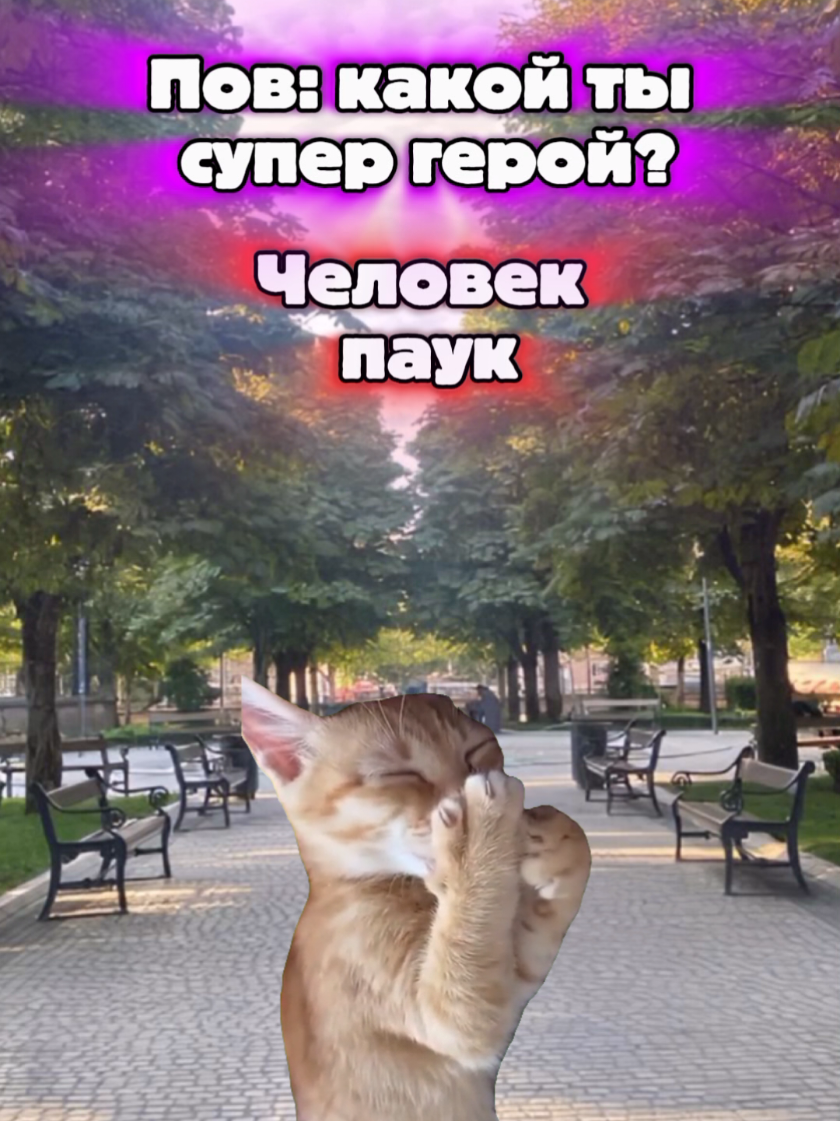 @MisterCat