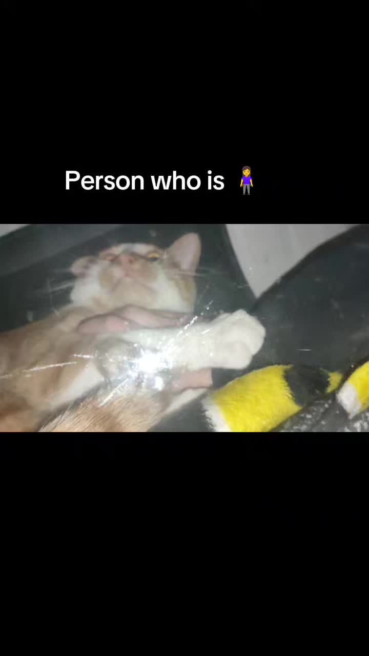 @🐈&zwj;⬛
