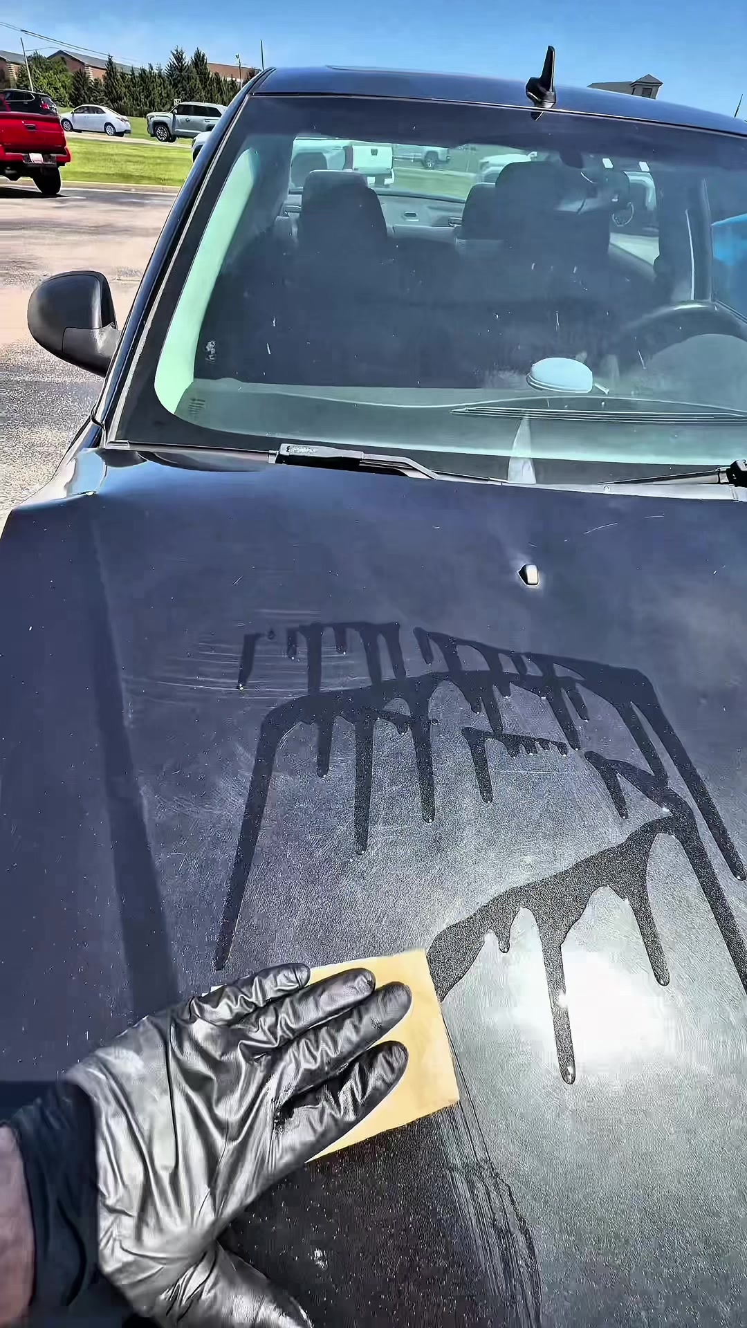 @Shiny Car Stuff