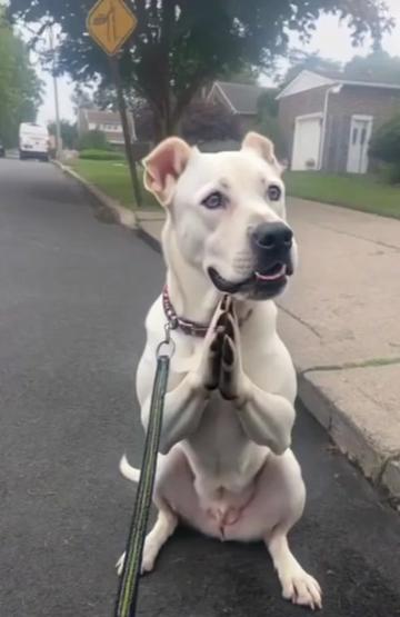 @🐾E-one 🌻Get🐕It♉ Done🪴