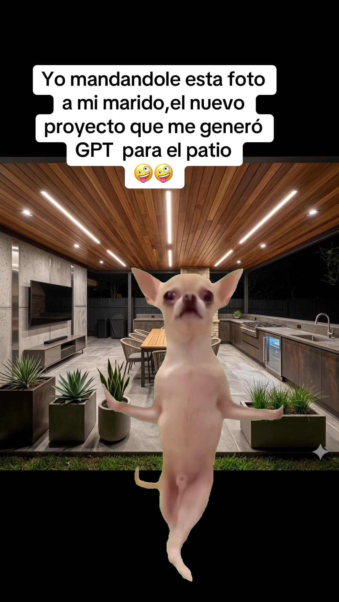 @Irreverente💯
