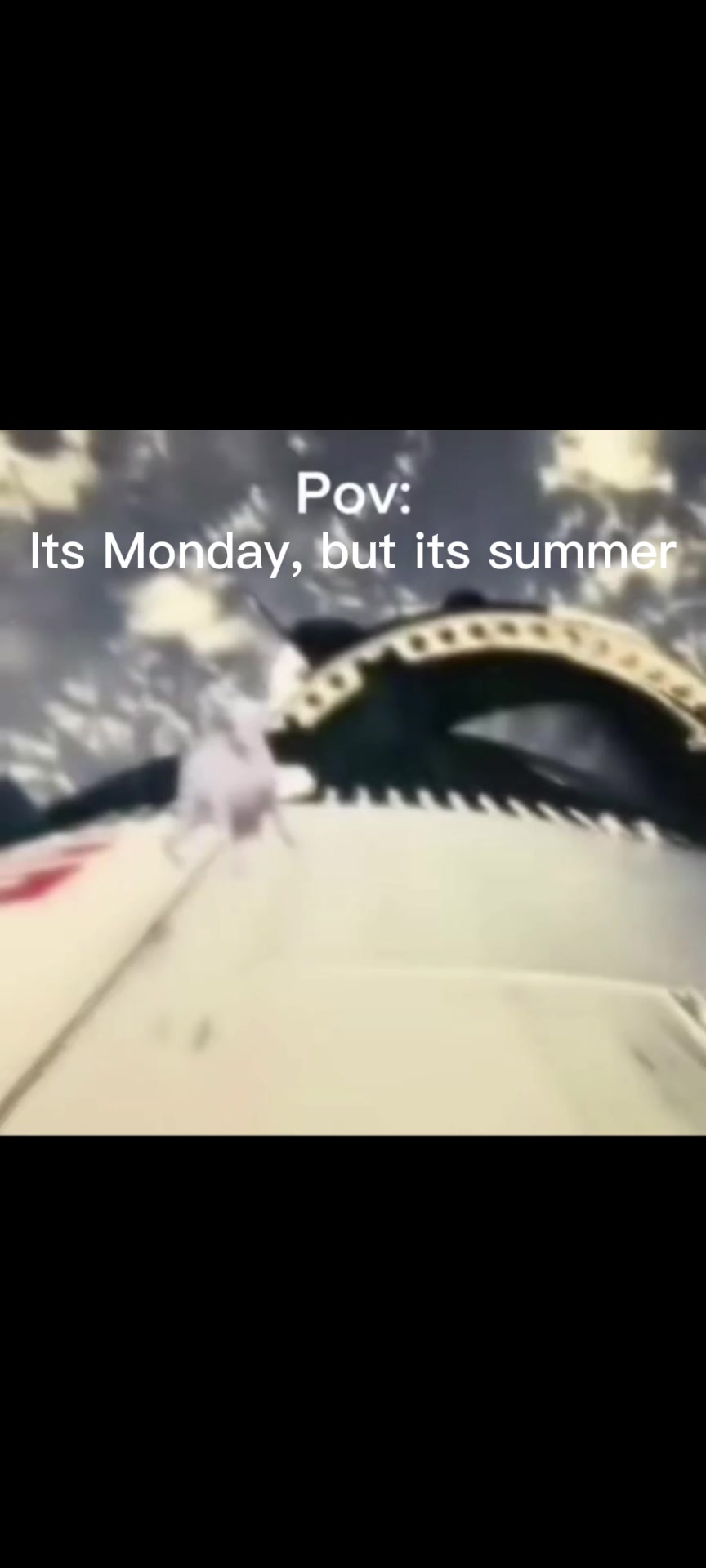 @Sm14yr