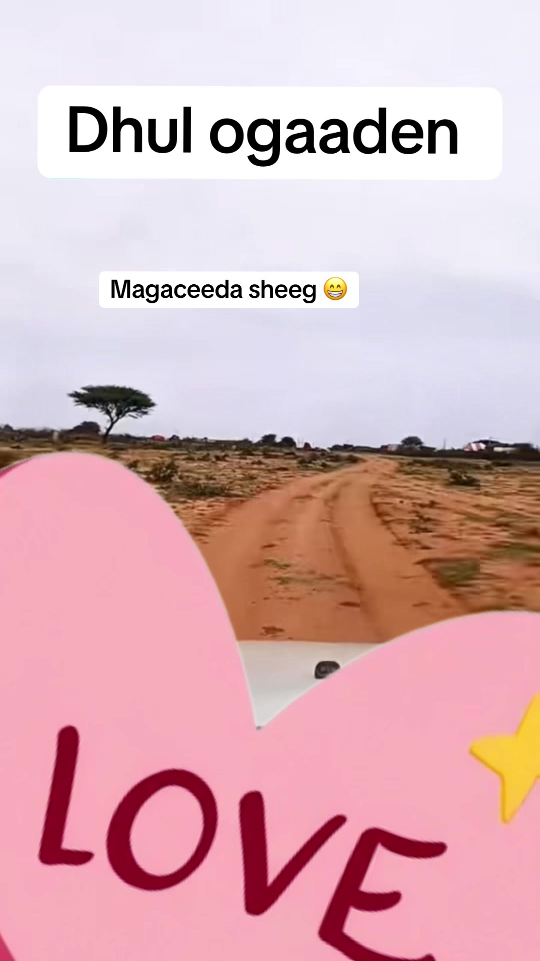 @Raxmam01