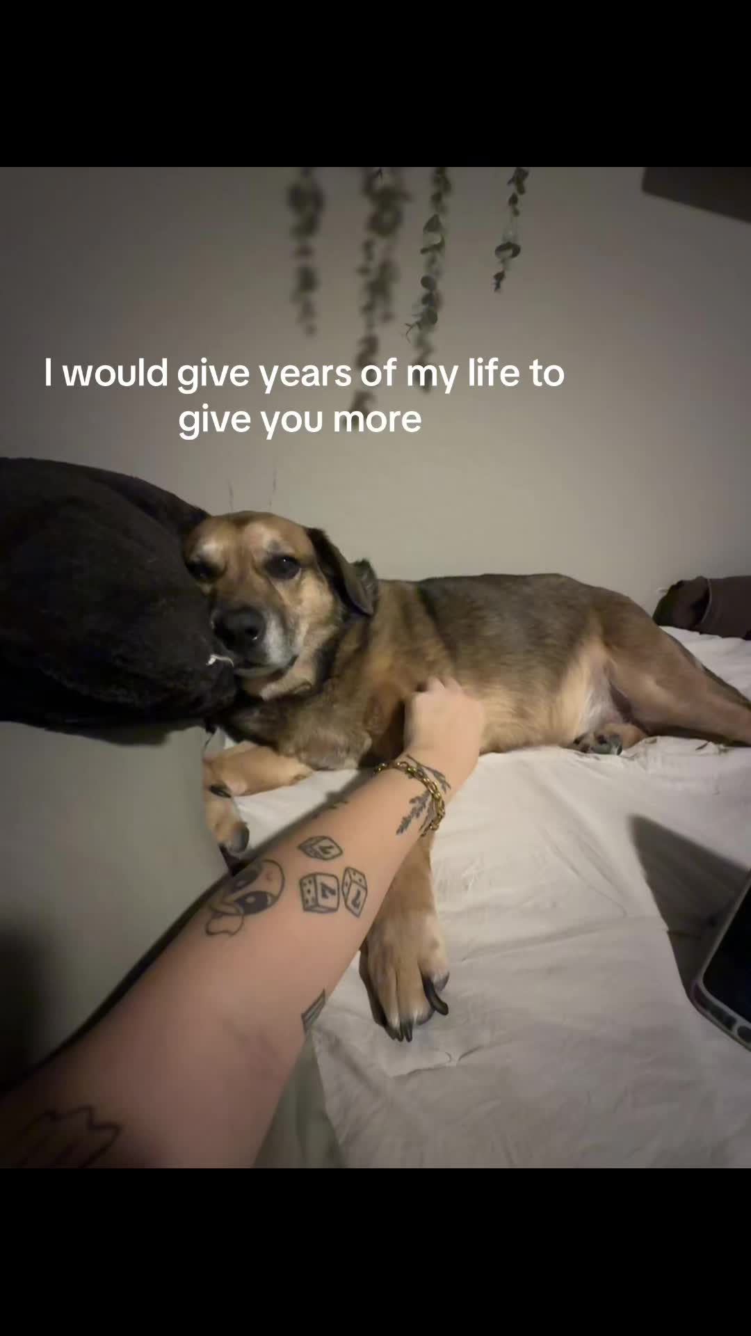 @cassiebadass