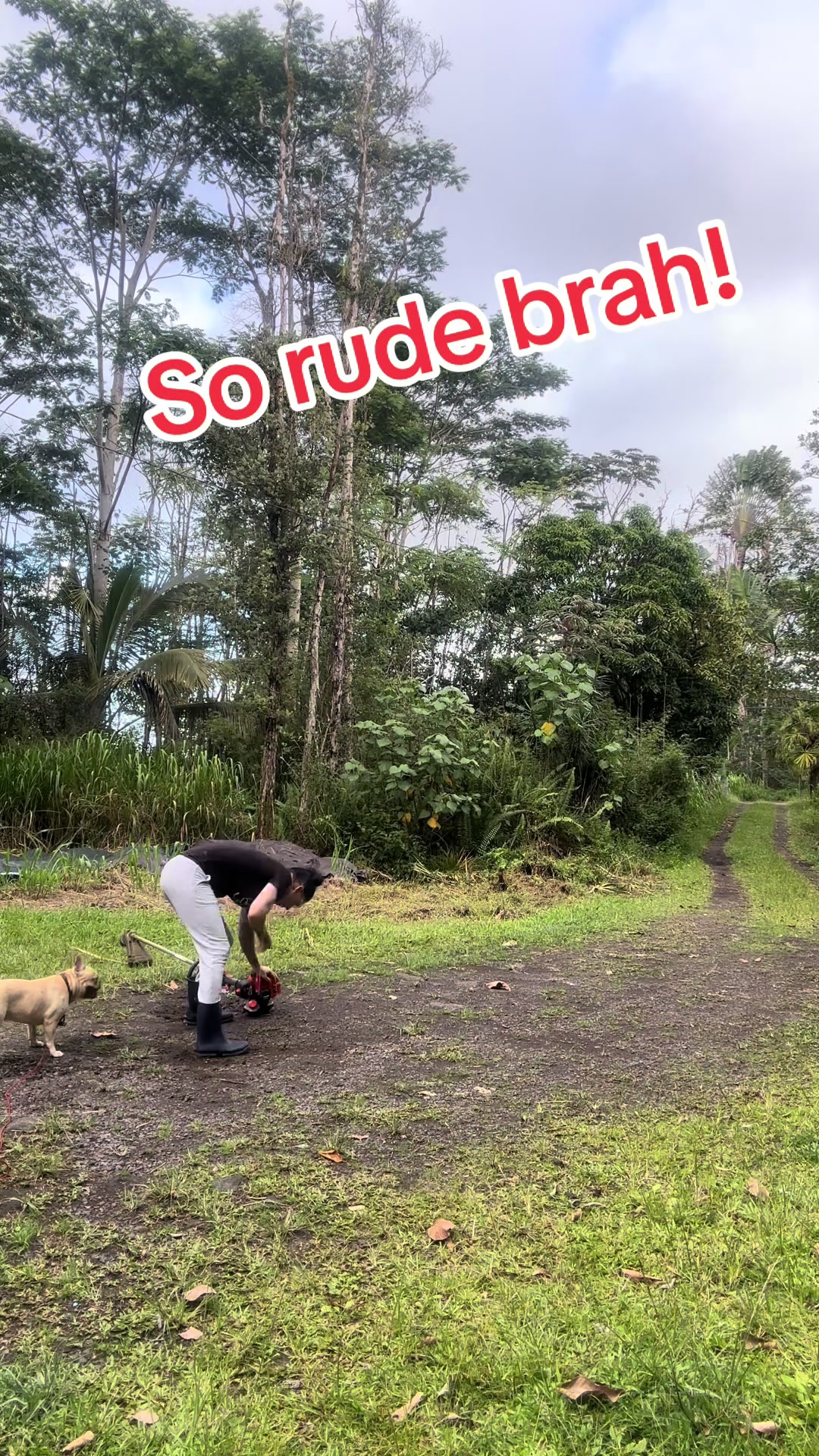 @Alohagoatyoga