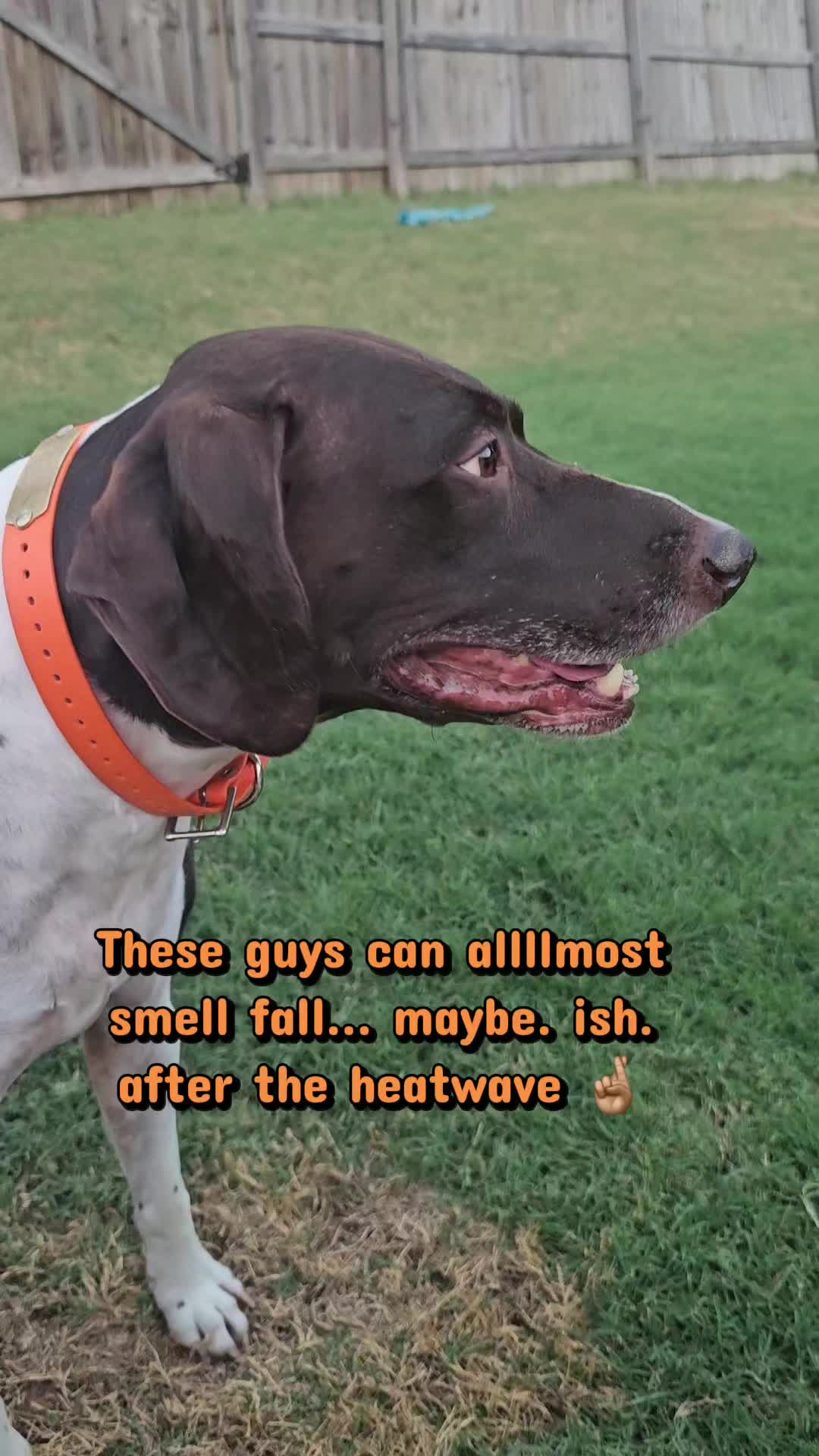 @ThatOKBiologist