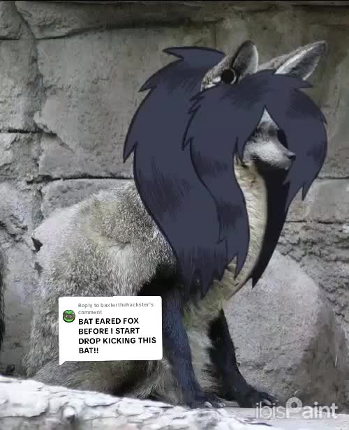 @Sealie 🦭🍮