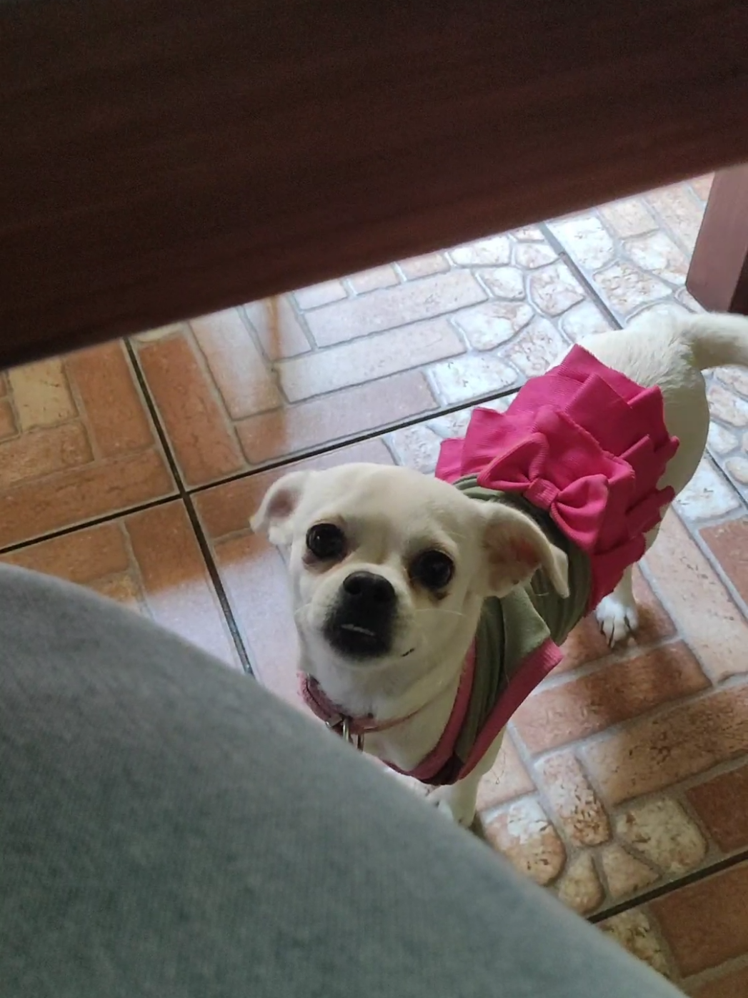 @solcito_chen