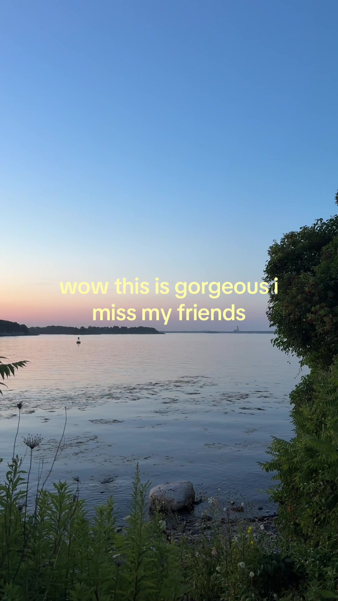 @lastofthebugs 🐛🐞