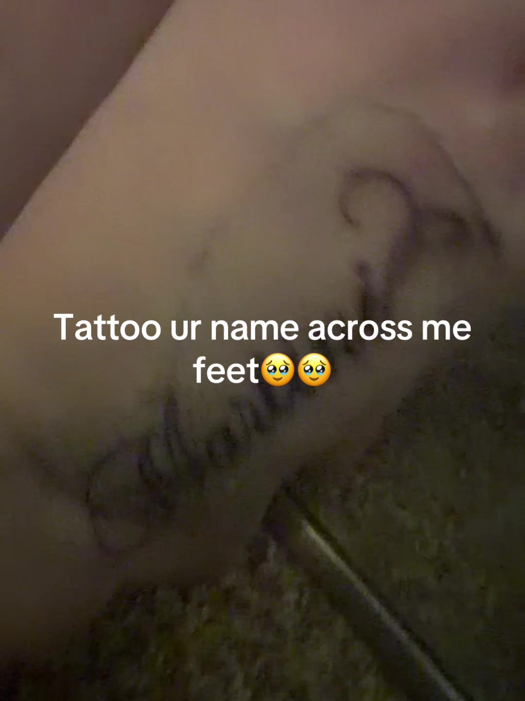 @cheifqu33fv