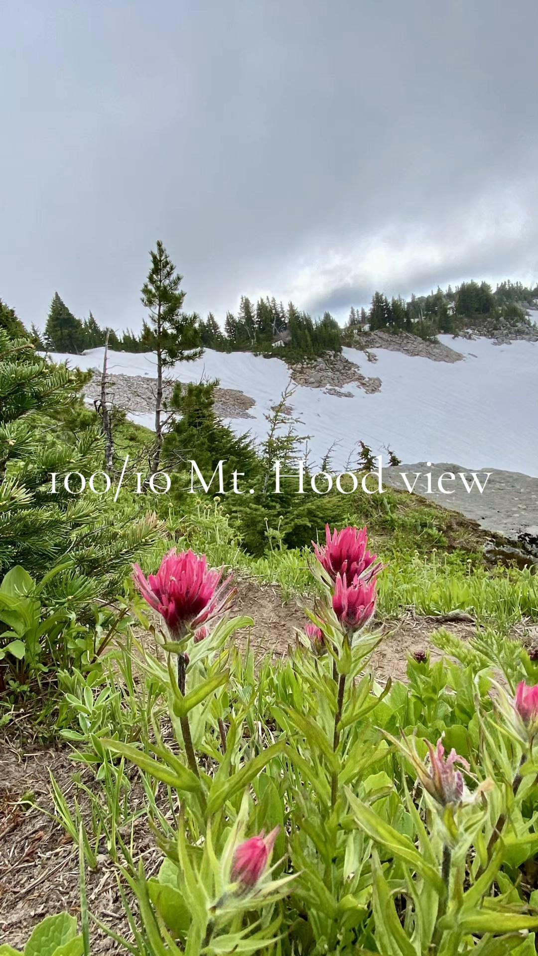 @hoodlandbazaar