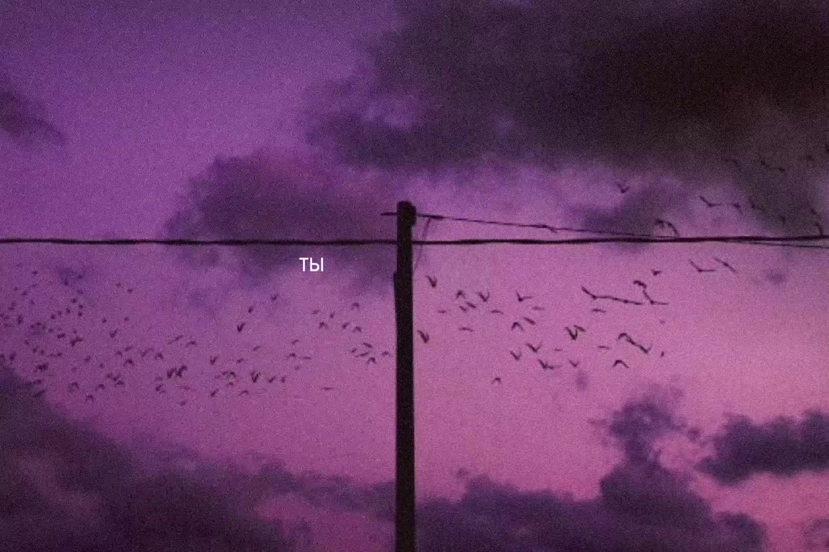@звуки для липсингов