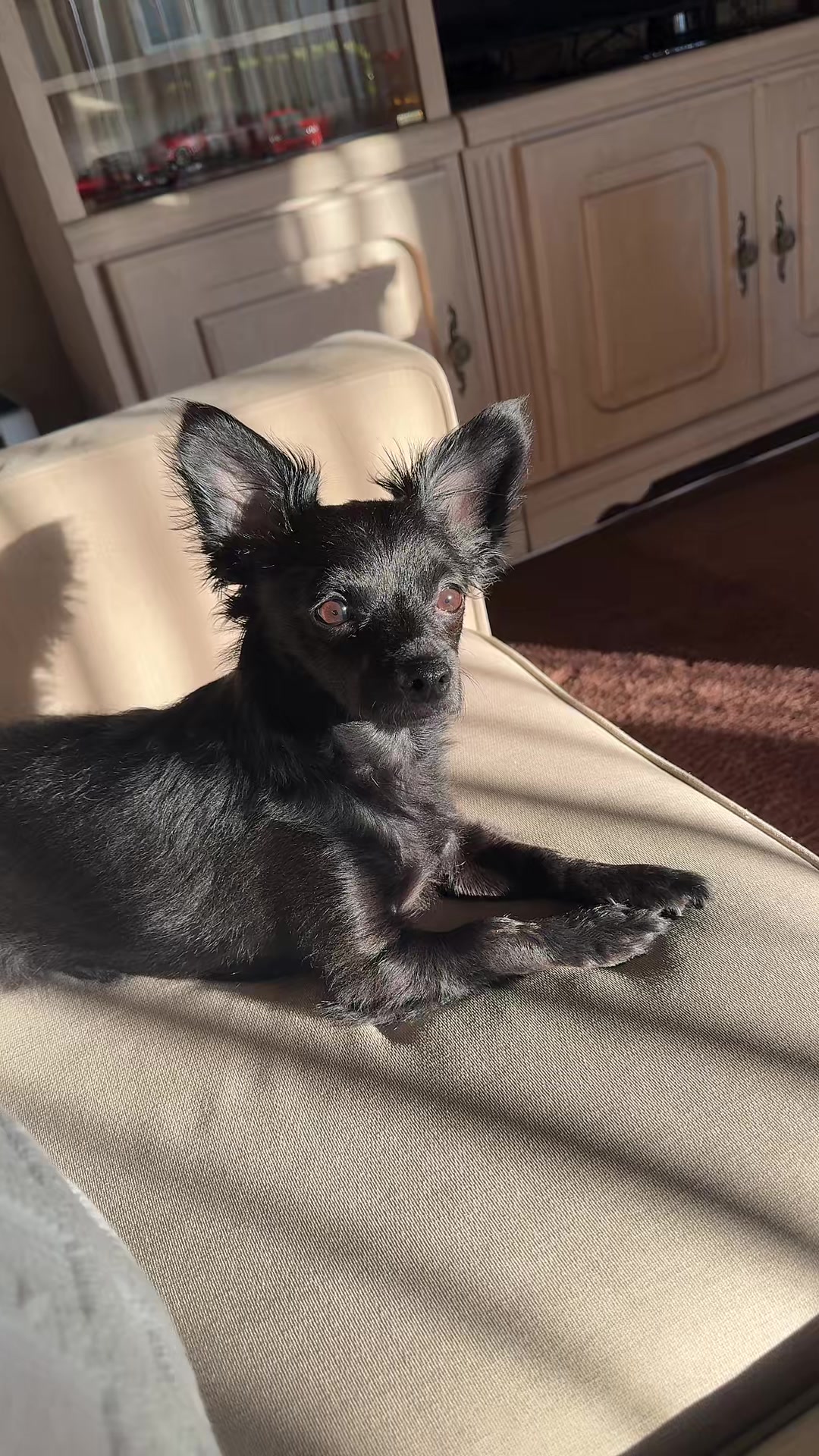 @🐾 Leo Martin 🐾