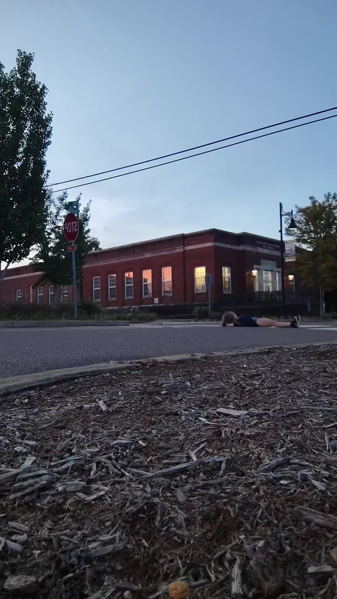 @Alita
