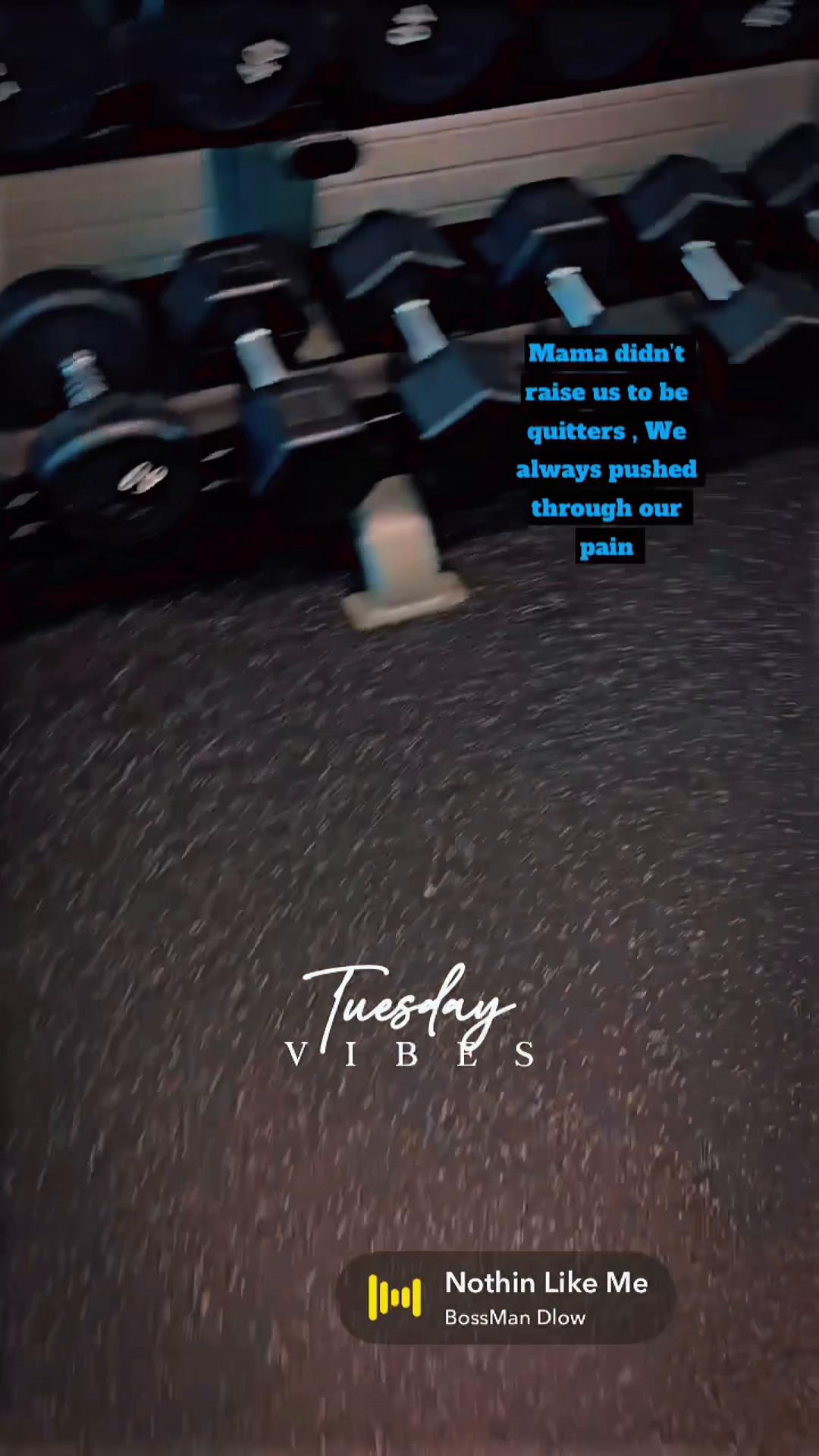 @🎼&bull;𝒞𝒽𝒶𝒬𝓊𝒶𝓃&bull;🎼