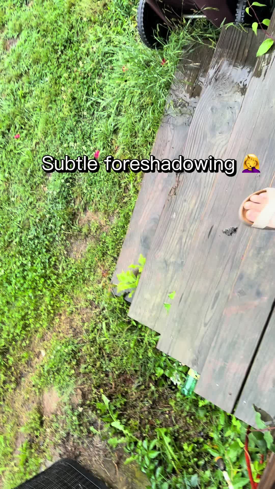 @Kaidey ⚡️