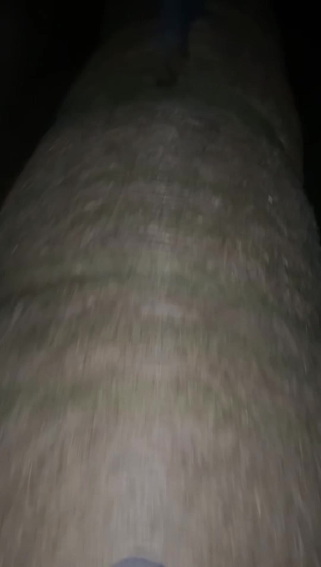 @Junkrolla