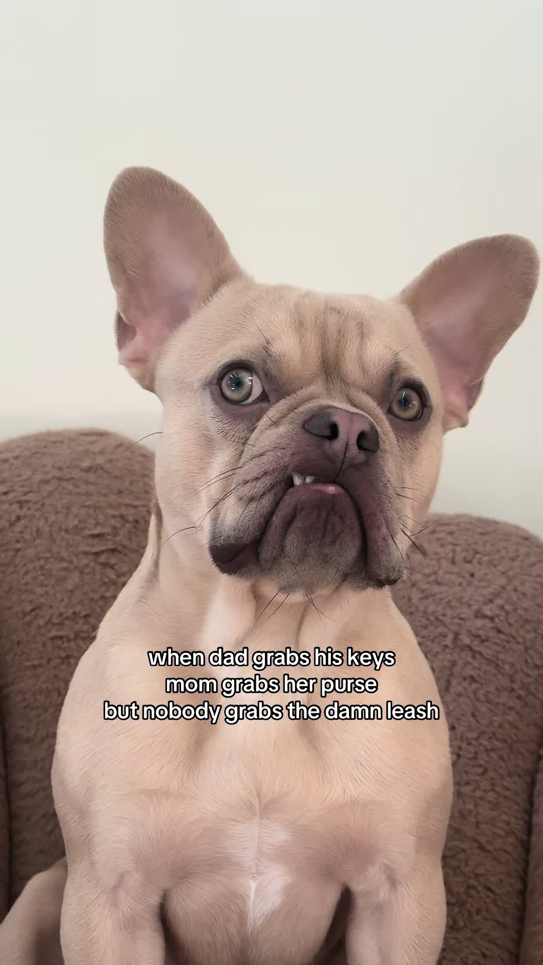 @Winston & Charlie 🐾