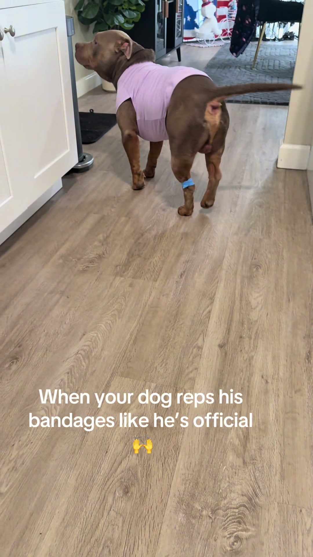 @Bark&rsquo;n & Park&rsquo;n