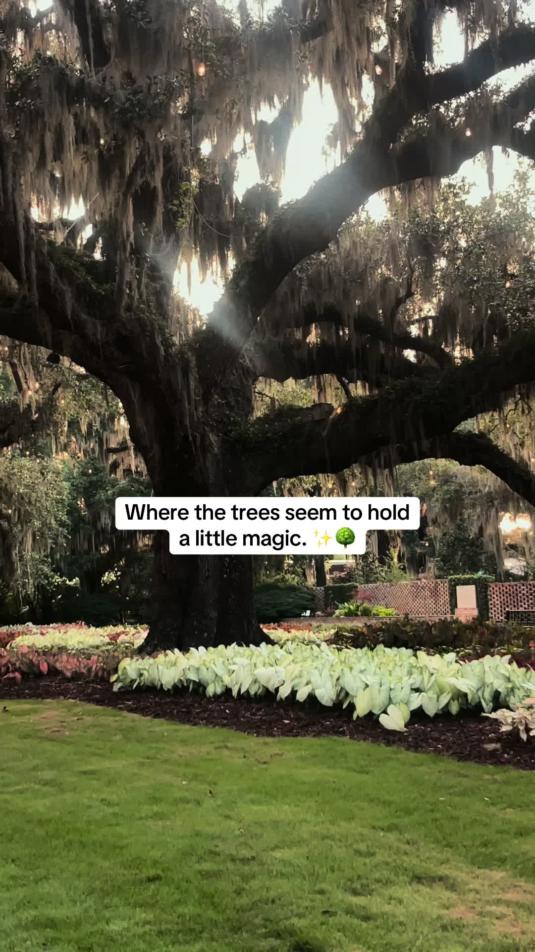@PAIGE 🌙☀️💫