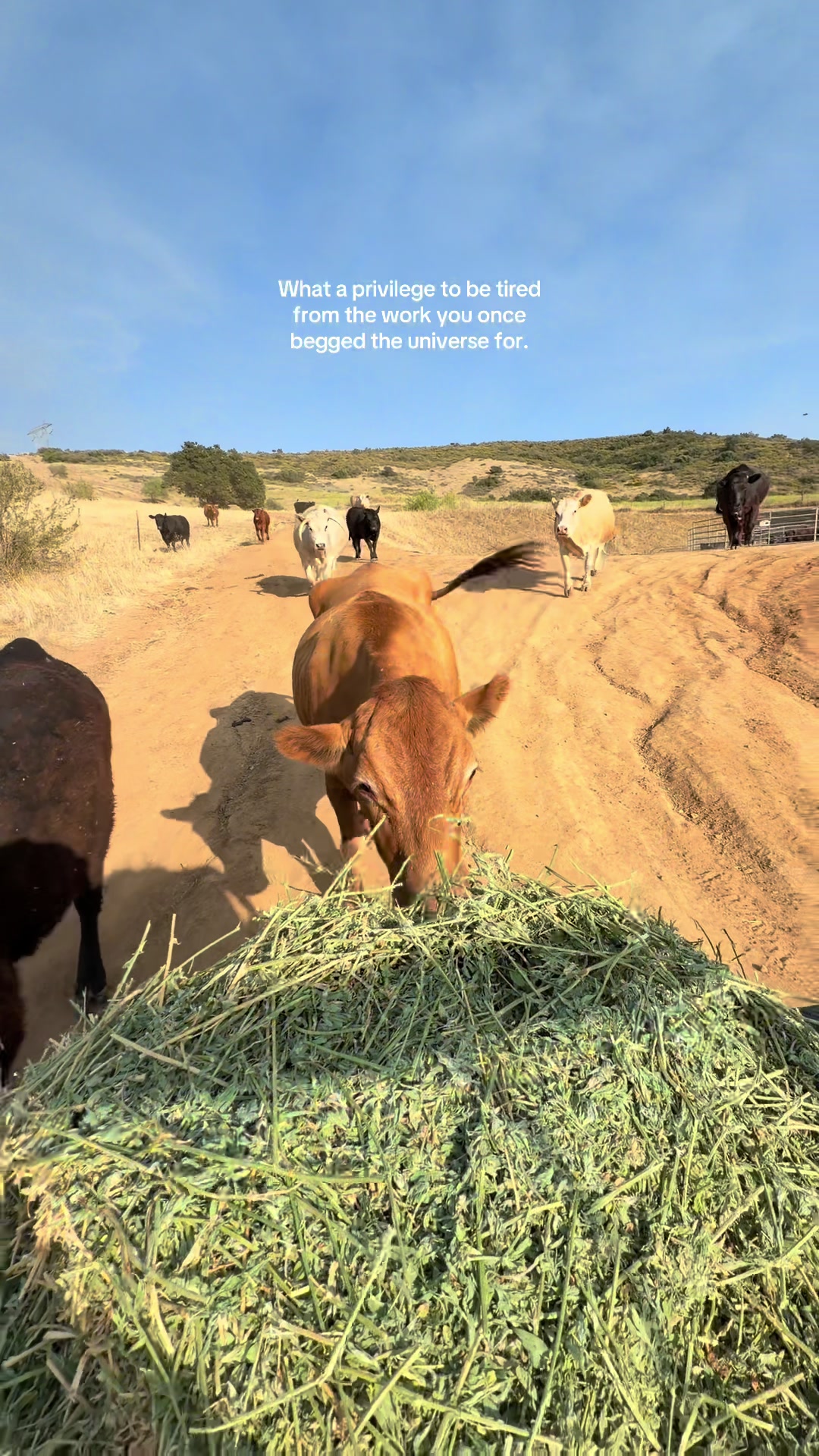 @myranchdiary