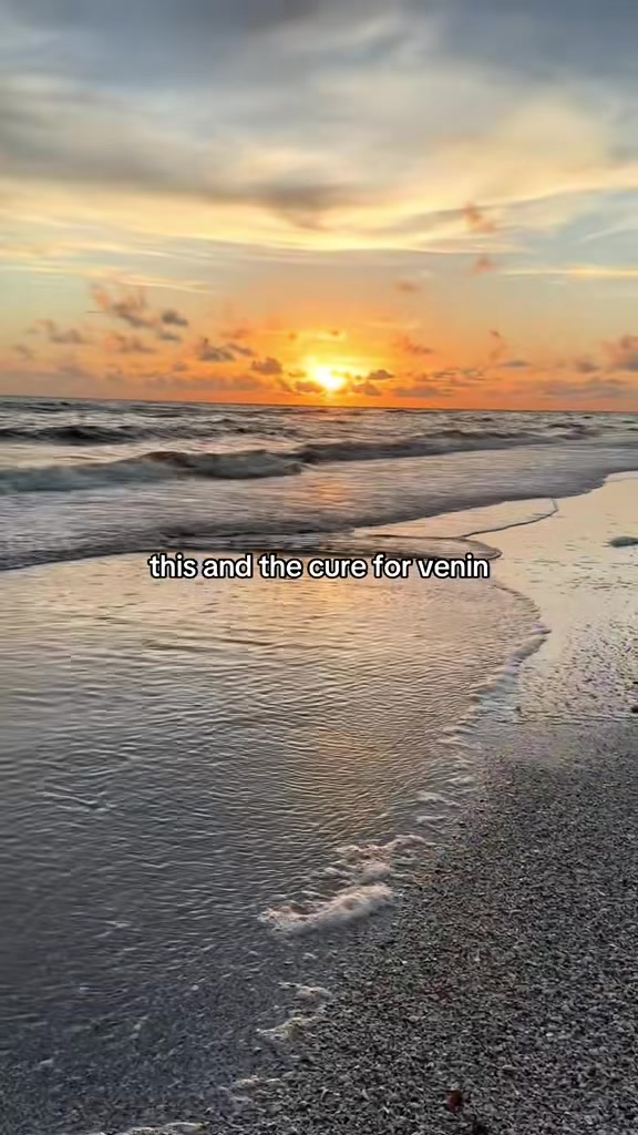 @ℕ𝕚𝕞𝕪 📖