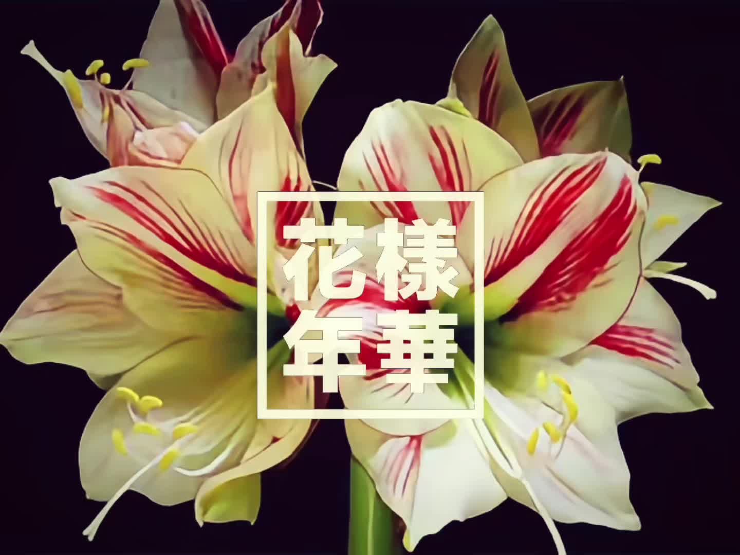@𝘷𝘢𝘭𝘦🪷⁷